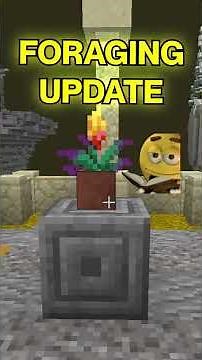 Reacting to The New Foraging Update Islands