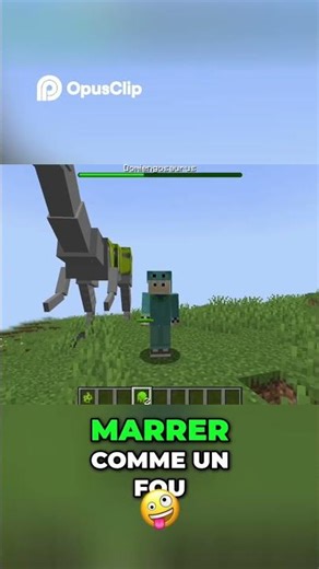 je code une animation pour mon nouveau boss ! #minecraft #coding #mod #domiengspirit
