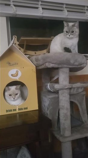 mom baby best friend 🤍🩷cream pudding