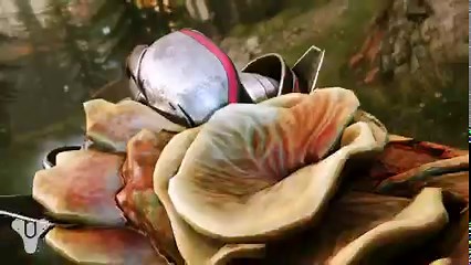 72K views · 761 reactions | Cordyceps fungus looks right at home in the sci-fi universe of Destiny 2. Naughty Dog and Bungie discuss the PlayStation Studios cosmetics collaboration: play.st/3BTaDwS | PlayStation | Facebook