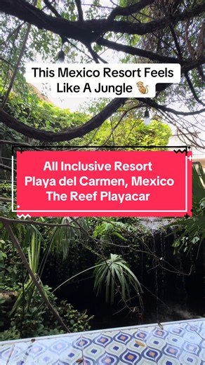 The Reef Playacar: Jungle All-Inclusive in Playa del Carmen
