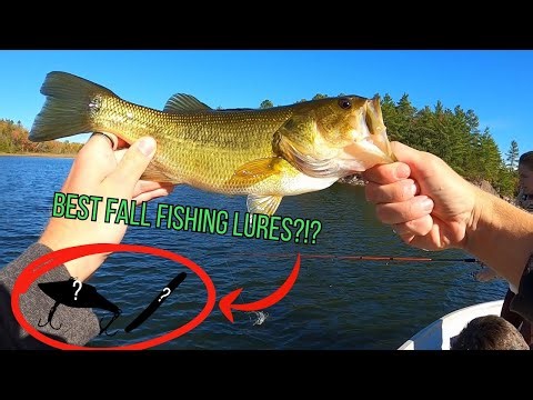 Can You Still Catch Fish When It's Cold? (Fall Fishing)