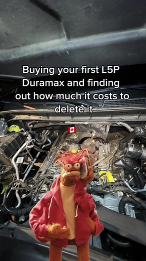 Understanding Duramax Delete Kits and Related Terms