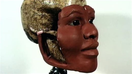 Cold Case Files Classic S01:E13 - Reconstructing Murder / Fire Flicks