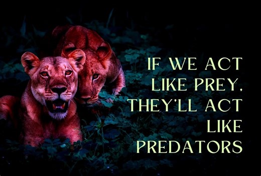 Best Gun Grips for Improved Accuracy and Comfort. Avail all 30 product links mentioned in descriptio