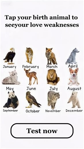 7.6K views · 53 reactions | In-depth personality analysis | APKZonic20 | Facebook