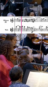 257K views · 4.6K reactions | An Alpine Symphony ️ Painting a picture of the Bavarian Alps calls for beautiful melodies and a supersized orchestra. Playing Richard Strauss’s An Alpine Symphony was a highlight of last season at the Southbank Centre. This moment gives us goosebumps! #Strauss #ClassicalMusic #Symphony #Classical #Orchestra | London Philharmonic Orchestra | Facebook