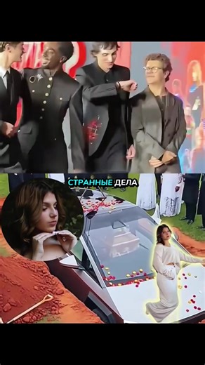 Четыре знаменитости из сериала «Очень странные дела» отказались пожертвовать деньги на похороны Лии Палмиротто. #milliebobbybrown #strangerthings #fyp #usa #celebrity