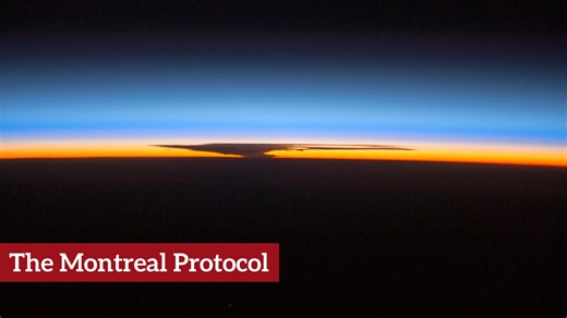 1.1K views · 27 reactions | Have you ever wondered why you seldom hear about the hole in the ozone layer anymore? This Earth Day, learn about the Montreal Protocol, the international environmental treaty that banned the use of ozone-depleting chemicals to protect the ozone layer: | The Canadian Encyclopedia | Facebook