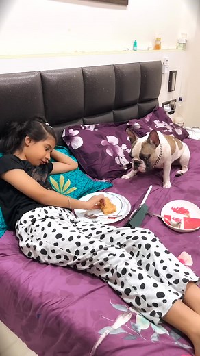 This is Why Dogs Pee on Bed 🤪 | Harpreet SDC | Harpreet SDC