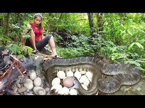 Ho My Good! Snake, Seeing snake neck and cooking eggs for survival food