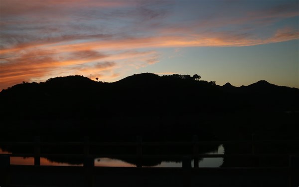 Playlist 私藏歌单 每日一首 Program