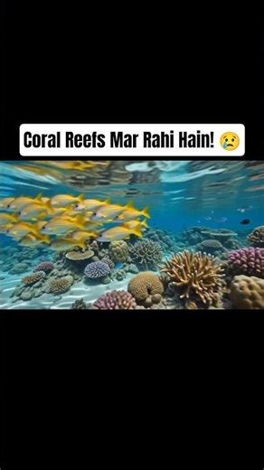 Coral Reef Facts That Will Blow Your Mind! 🪸🤯 #shorts #marinemystery #reeffacts