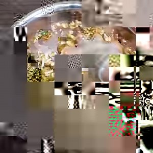 898K views · 10K reactions | TEM JILÓ AÍ NA SUA CASA? FAÇA ESSE JILÓ DELICIOSO SEM AMARGOR NENHUM Vinagrete de jiló fácil, prático e delicioso | Bateu Fome | Facebook