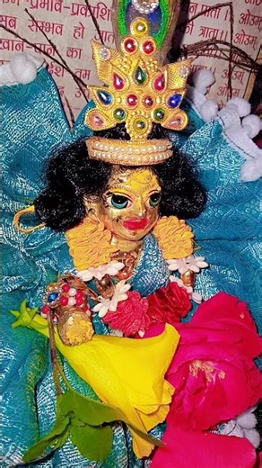 laddu gopal status #ytshorts #youtubeshorts