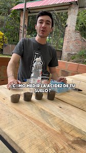 🌱¿Tu suelo es ácido o alcalino?🧪 Te enseño cómo saberlo con vinagre y bicarbonato 🥄💥. Tomé 4 muestras y descubrimos el pH de cada una. ¡Fácil y revelador! 👀 Y si quieres ganar dinero con tus plantas 💵, no te pierdas mi taller Follajes: Plantas que dan plata 🌿 #pHdelSuelo #JardineríaCasera #PlantasQueDanPlata #FollajesRentables #vivetierralinda | Tierra Linda Plantas