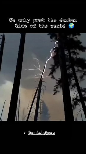 planet | Nature 🌍 on Instagram: "⚡ When Trees Become Nature’s Explosive Targets ⚡ Imagine standing in a peaceful forest — only to watch a massive bolt of lightning tear a tree apart in a single, blinding instant. Why does lightning strike trees so dramatically? ✔ Trees act as natural lightning rods due to their height and moisture content. ✔ The strike can heat the tree’s sap to over 30,000°C (54,000°F) in milliseconds. ✔ This rapid heating causes a violent expansion of steam and air, blasting 