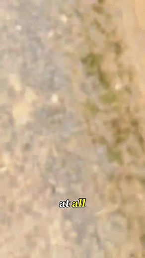 Farm Demo Gone Wrong #FarmLife #SiloDemolition #CountryLife #foryoupage #Knowledge | Triste.Historia.ai