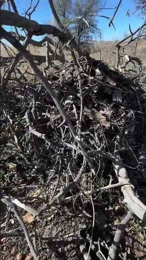 Have you heard the term pack rack? Here’s where it comes from.