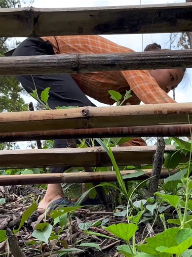 How to Build a Comfortable Outdoor Toilet with Your Partner