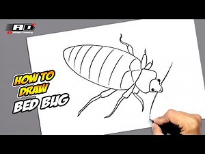 How to draw Bed Bug