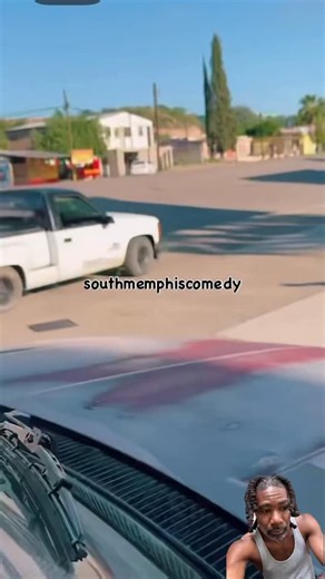 1.8K views · 511 reactions | “Bone To Pick” 領酪 #strays #funnydogs #fyp #trending #southmemphiscomedy | South Memphis Comedy | Facebook