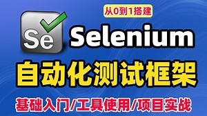 2025最新Selenium自动化测试环境搭建自动化测试框架教程，涵盖源码解析、工具原理及项目实战，一套全通关，轻松掌握！