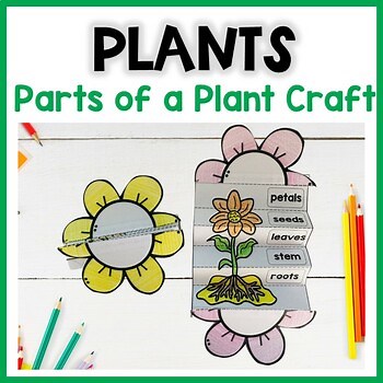 Parts of a plant craft | Flower writing activity
