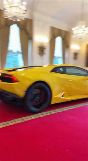 Daily Weird Shorts: Episode 20 tiny funny chaos 🤣