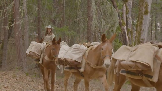 2.4K views · 85 reactions | The Pacific Southwest Region’s Pack Stock...