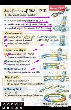 PCR-AMPLIFICATION OF rDNA#4th step of rDNA technology #BSc zoology #MSc zoology #UPSC#UPPSC ZOOLOGY
