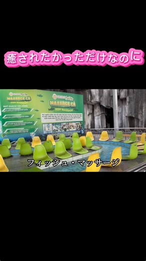 ドクターフィッシュ→強い🐟ウォーターボール→何の拷問？😇▶️ 絶叫含むフル動画はYouTube本編で！#ベトナム旅行 #海外遊園地 #想定外 #怖すぎ #ドクターフィッシュ #ウォーターボール