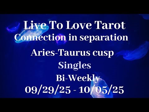 ♈️ Aries ♉️ Taurus cusp love reads💙Thought you were running around on them💙