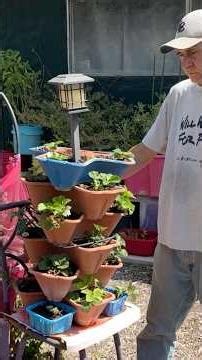 DIY Strawberry Tower Grow Strawberries in Vertical Containers that Turn for Small Space Gardening
