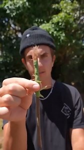 29K views · 180 reactions | Going Back To Basics & Customizing Shoes | MARKO | Facebook