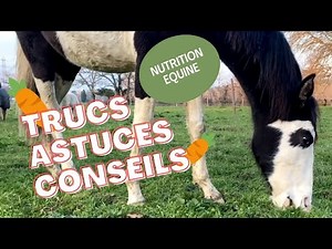 Comment nourrir son cheval?