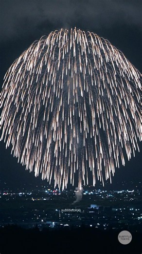 長岡花火のチケット、今年は当たりますように🤤🎇一生に一度は絶対に行くべき「長岡花火」🎇🔥 #長岡花火 #長岡まつり大花火大会 #新潟 #花火 #fireworks