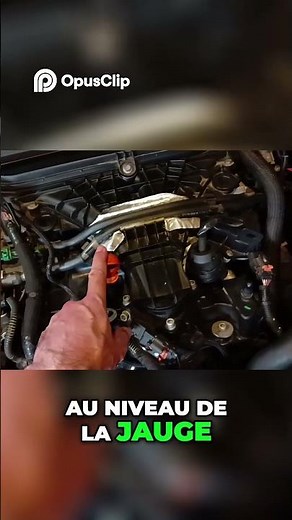 R 2L HDI Oil Change The Complete and Easy Guide!