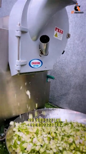 Mango Cube Cutting Machine | Fast Mango Slicer Cutter for Processing Business