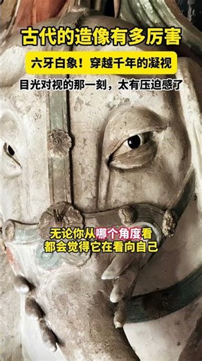 古代的造像有多厉害？ #六牙白象 ，穿越千年的凝视，太有压迫感了。#雕塑 #北宋 #趣说文物