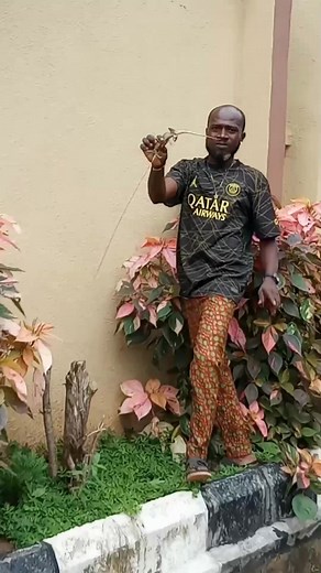 453K views · 3K reactions | The hand that catch lizards one  | Deprince Tochukwu Olinya | Facebook