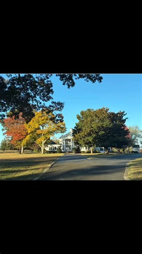 19 reactions | These are the days!! Four new calves, fall leaves,...