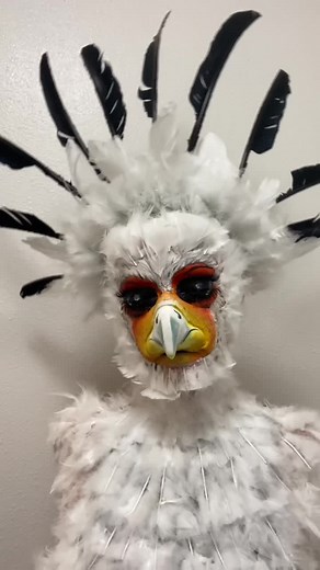 Someone requested I do a #secretarybird but I couldn’t find the comment to #reply to lol #makeup #WhatWouldPopTartsDo #makeuptutorial