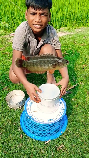 বাটি তুলে মাছের নাম বলার চ্যালেঞ্জ #fishchallenge #fish #shorts#short
