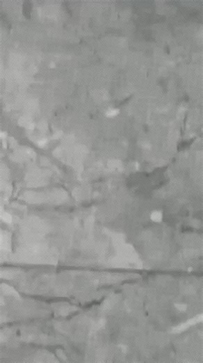 Zindagii🎭 (@mohammad__farhan__)’s videos with original sound - নক্ষত্র