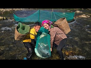 Smart fish trap, Highland boy and beautiful girl set traps to harvest stream fish to sell.