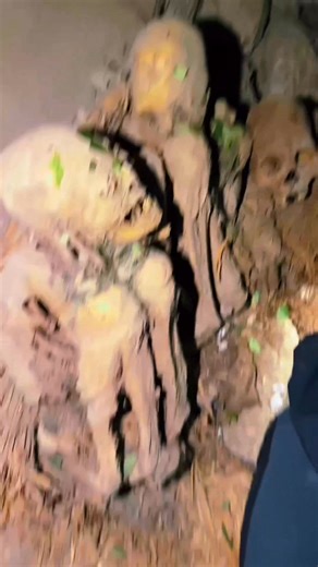 ☠️ 💀 ☠️ | Aaron Johnson