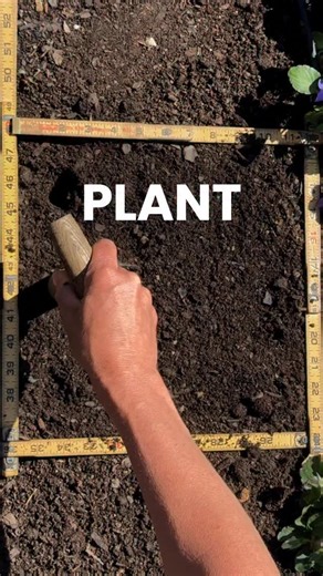 Comment QUIZ to figure out the best way to start your garden next year based on your frost date and setup Leaves only need a few square inches Roots need a little more Fruits take up about a square foot Once you see the garden this way, you can’t unsee it—but knowing where you should begin is the real key The Garden Personality Quiz helps you get clear on how to start planning your garden in a way that fits your space and season Comment QUIZ and I’ll DM you the link to take it for free | Gardena