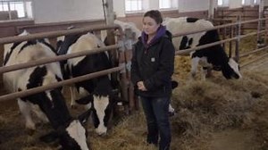 Today is Canadian Agriculture Day! As part of their correctional plans for successful rehabilitation, many offenders work on farms to learn important skills that will help them become contributing, productive members of society when they return to the community. #CdnAgDay “Farming is so diverse and you have to learn so many different skills, that it actually applies to lots of different jobs that are out there.” Meet Tiffany, a supervisor at one of CSC’s CORCAN farms, who shares her experiences,