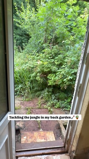 Polly | House Renovation‍♀️ on Instagram: "Where do I go now?! • • #gardenproject #garden #gardenrenovation #houserenovations #auctionhouse"